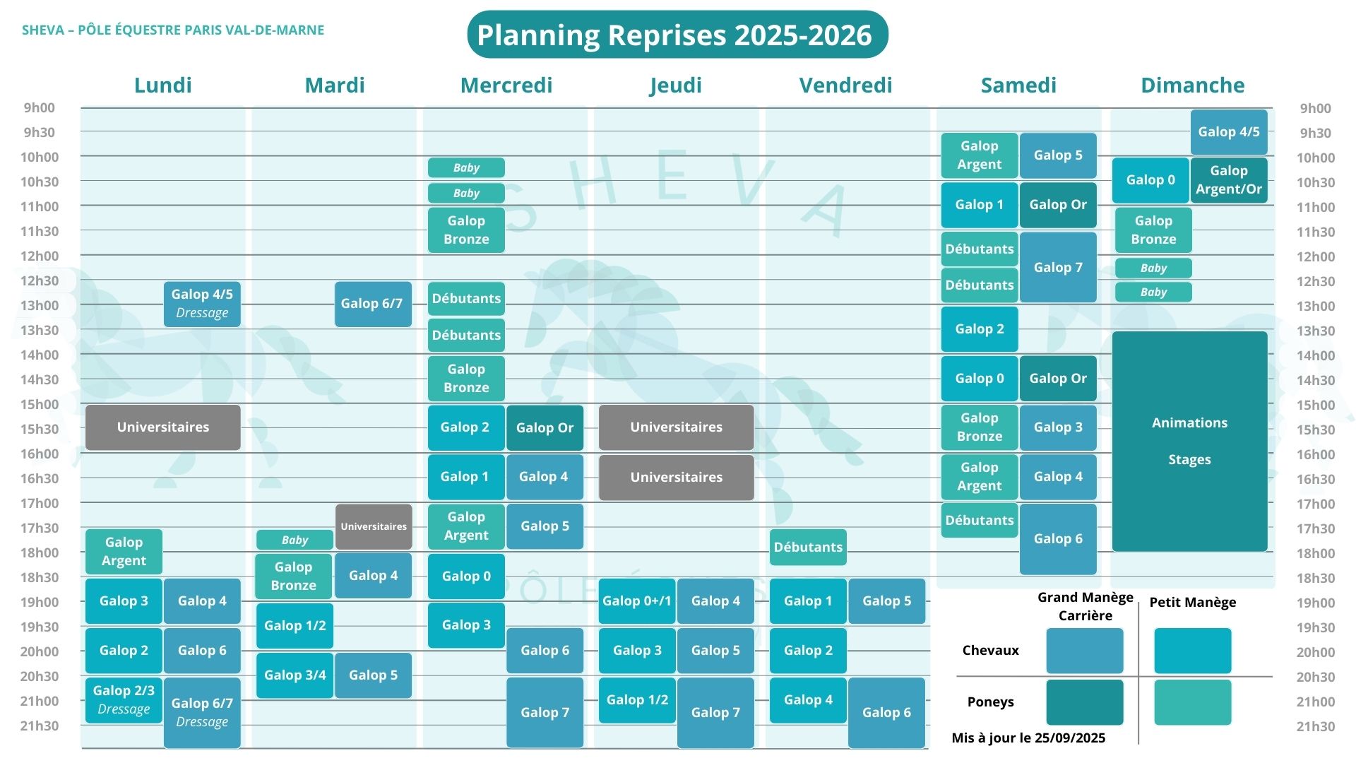 Planning hebdomadaire des reprises SHEVA